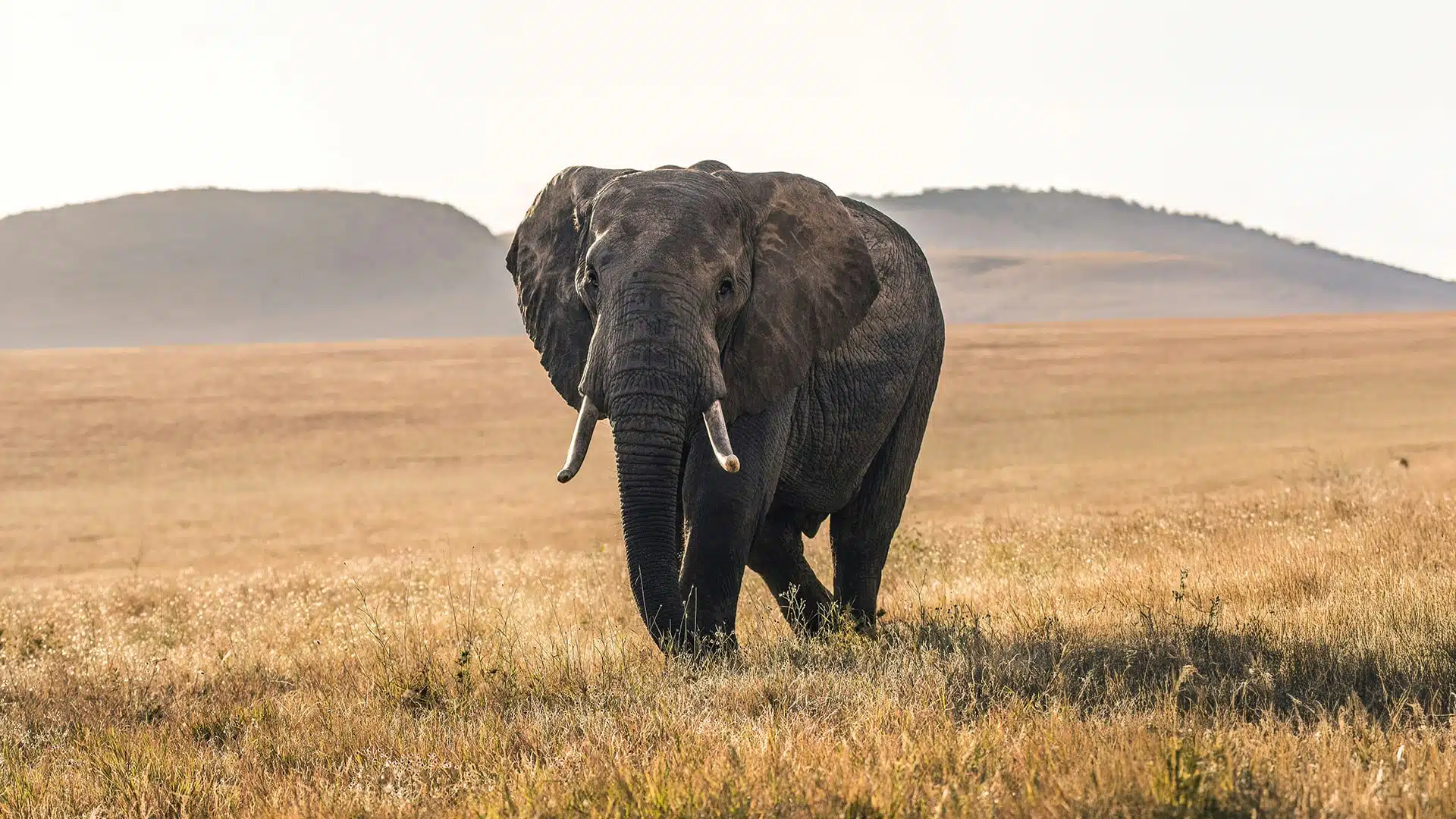 Botswana